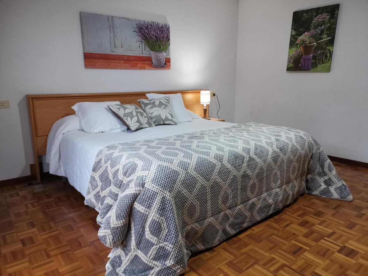 Garden Lodge Hostal Evencio Ribadavia Ngoại thất bức ảnh